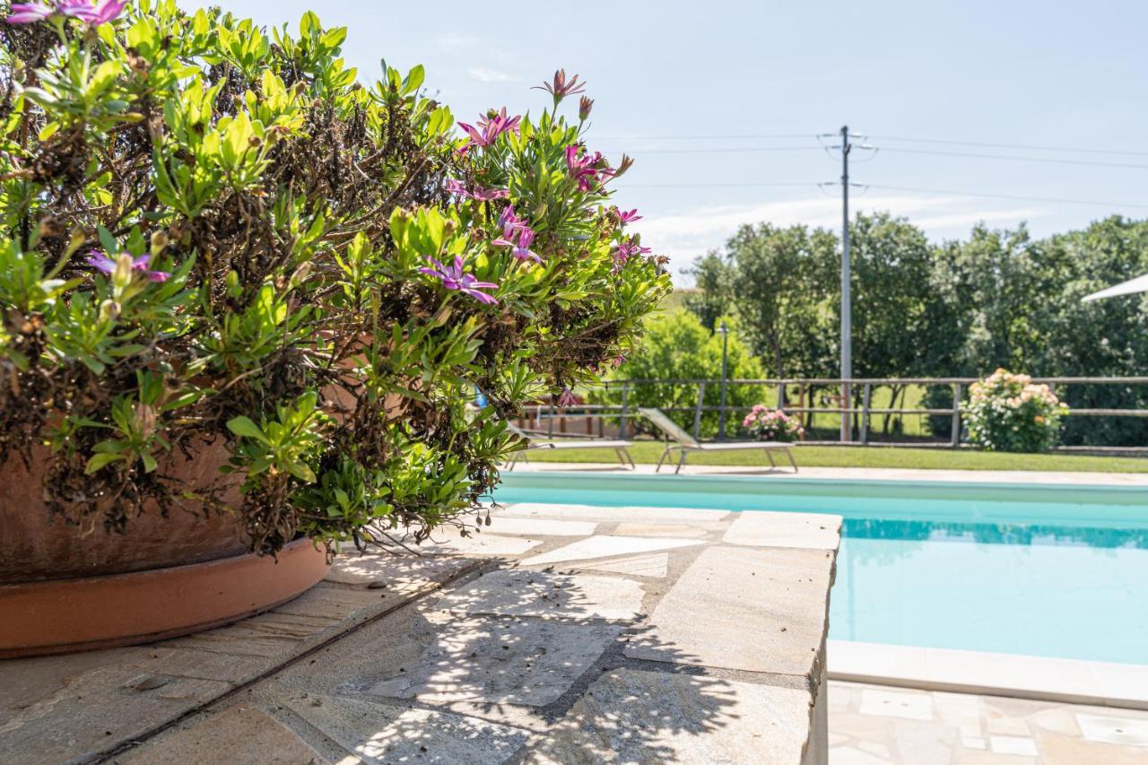 Montenovo Country House Ostra Vetere Ngoại thất bức ảnh