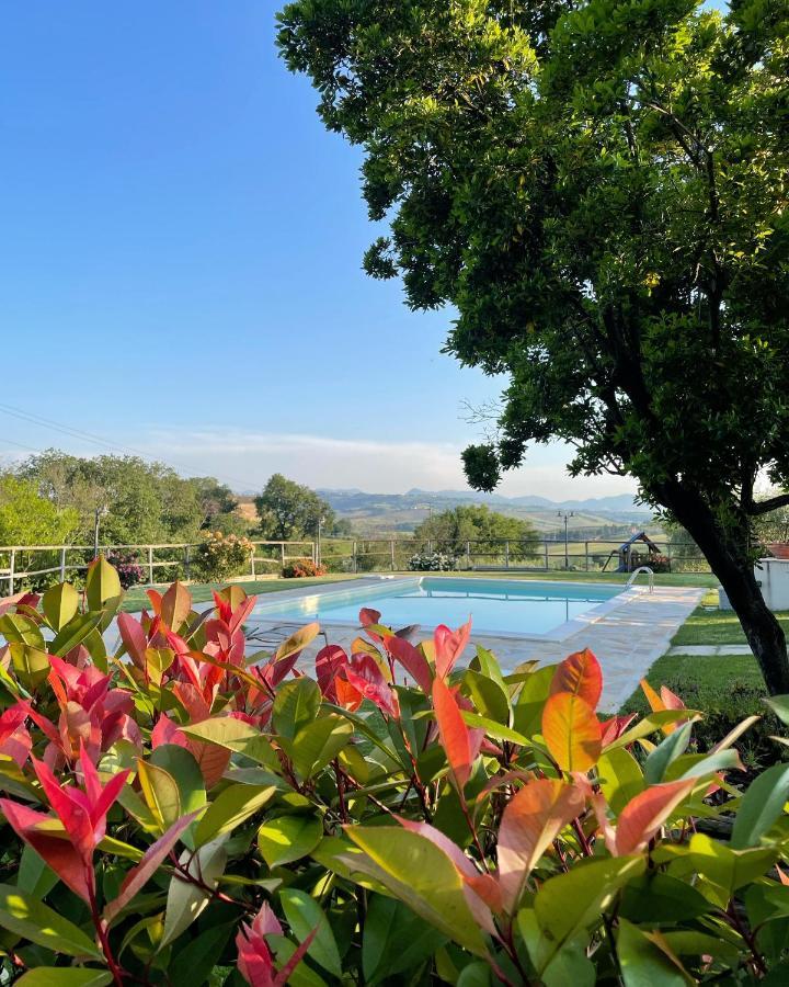 Montenovo Country House Ostra Vetere Ngoại thất bức ảnh