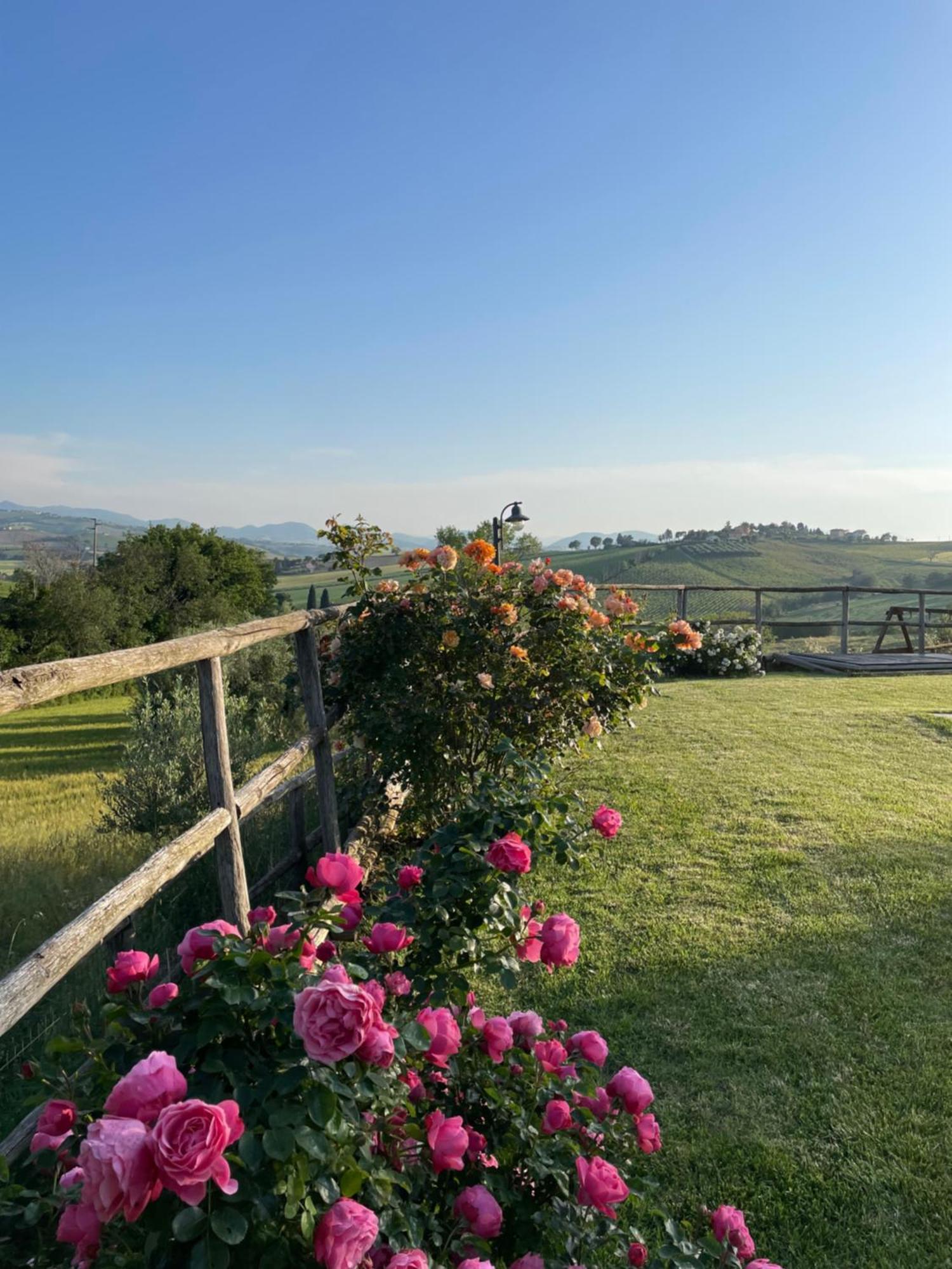Montenovo Country House Ostra Vetere Ngoại thất bức ảnh