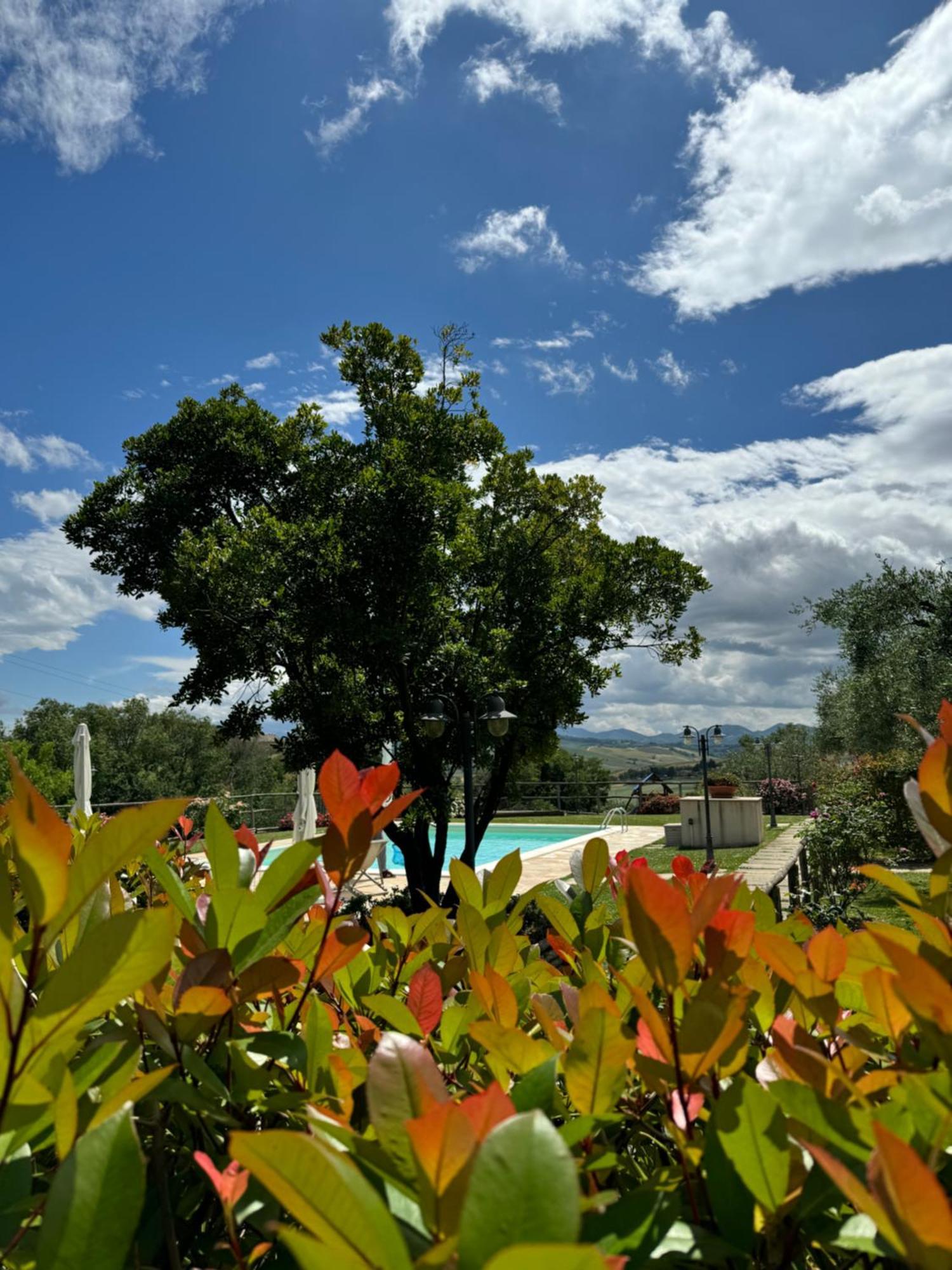 Montenovo Country House Ostra Vetere Ngoại thất bức ảnh